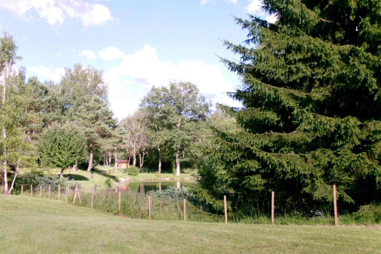 Chalet De Charme - Le Martinet Ney エクステリア 写真